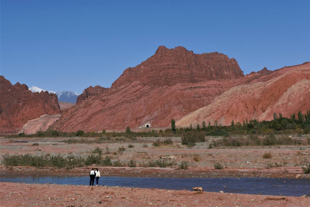 DSC_1436.jpg