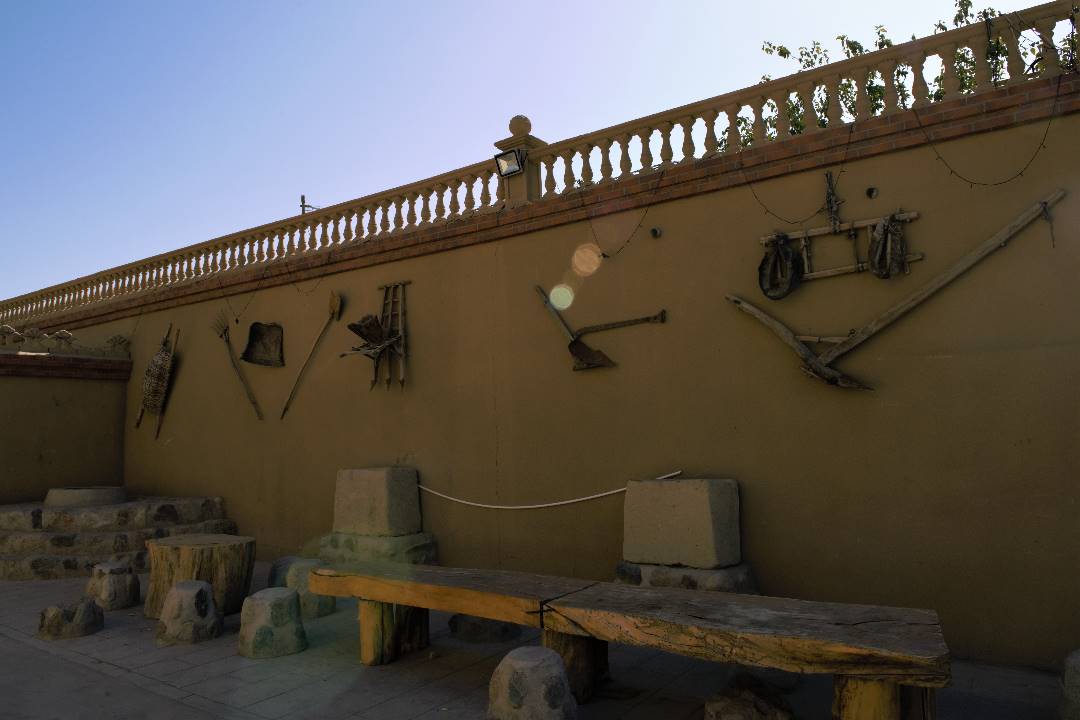 DSC_1546.jpg