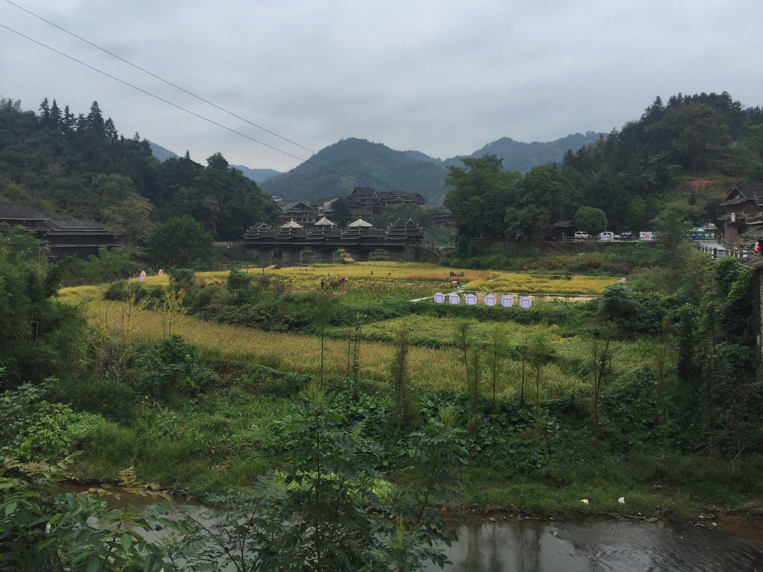 BCD7B1A8-EF84-4671-8B2C-199D88D07391.jpeg