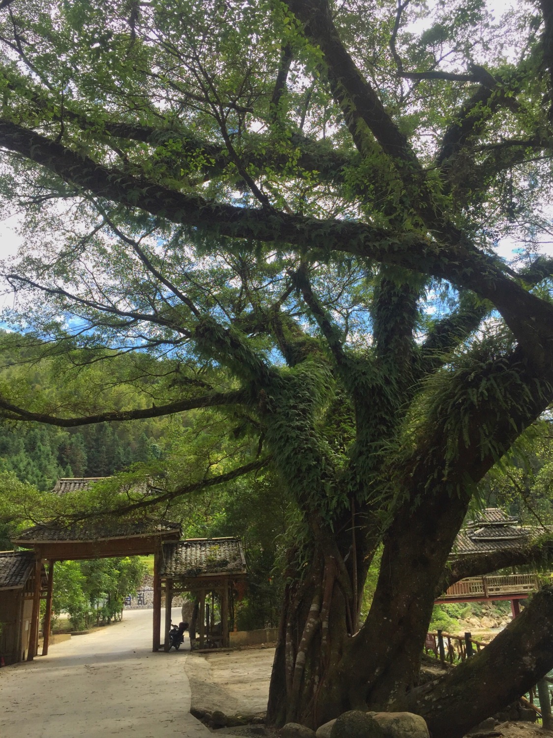 55E626BE-0C9F-4EB4-A6CC-844DE35B9639.jpeg