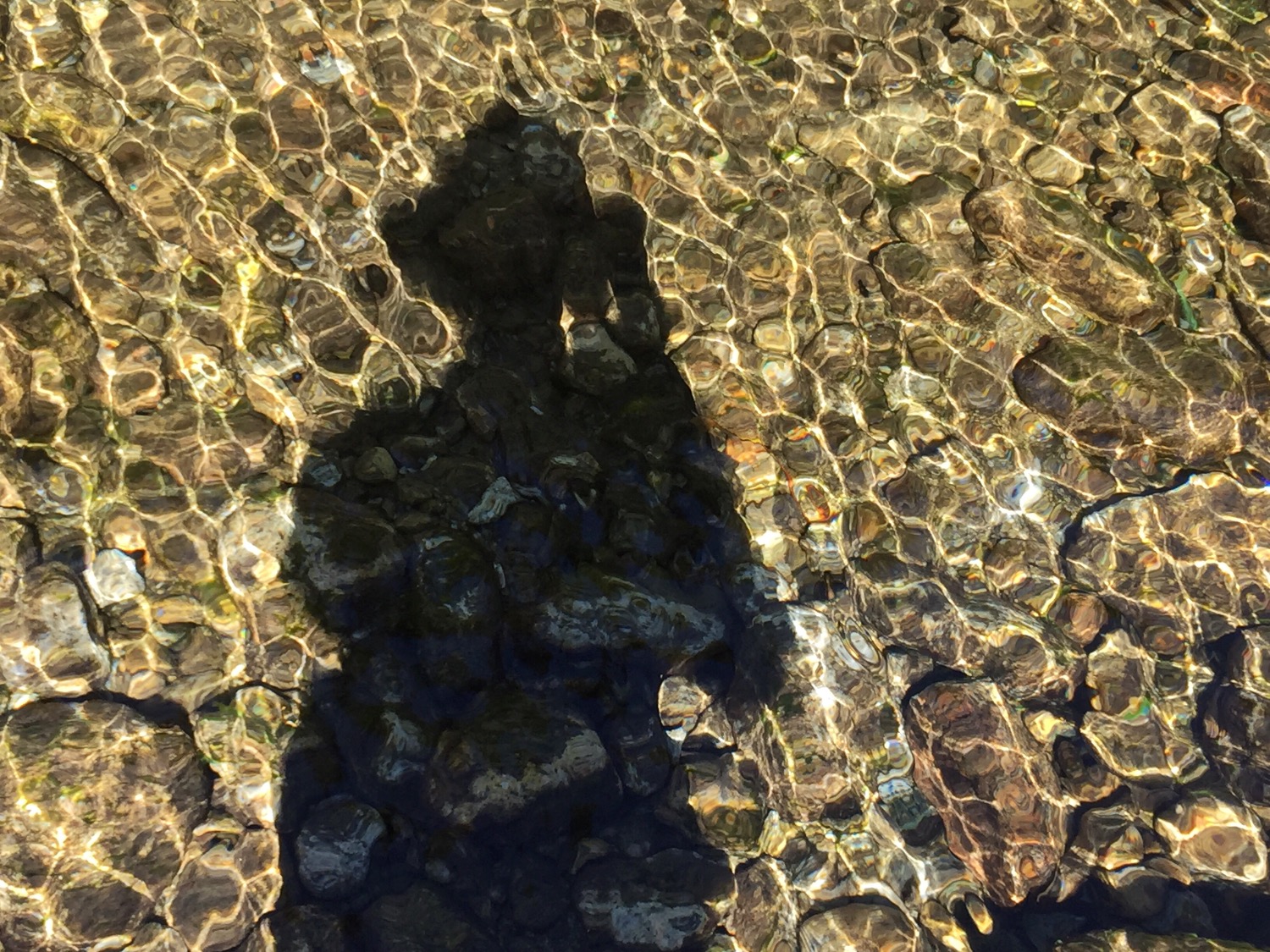 6D88591D-2BCF-47E1-A845-3527E9FE11CE.jpeg