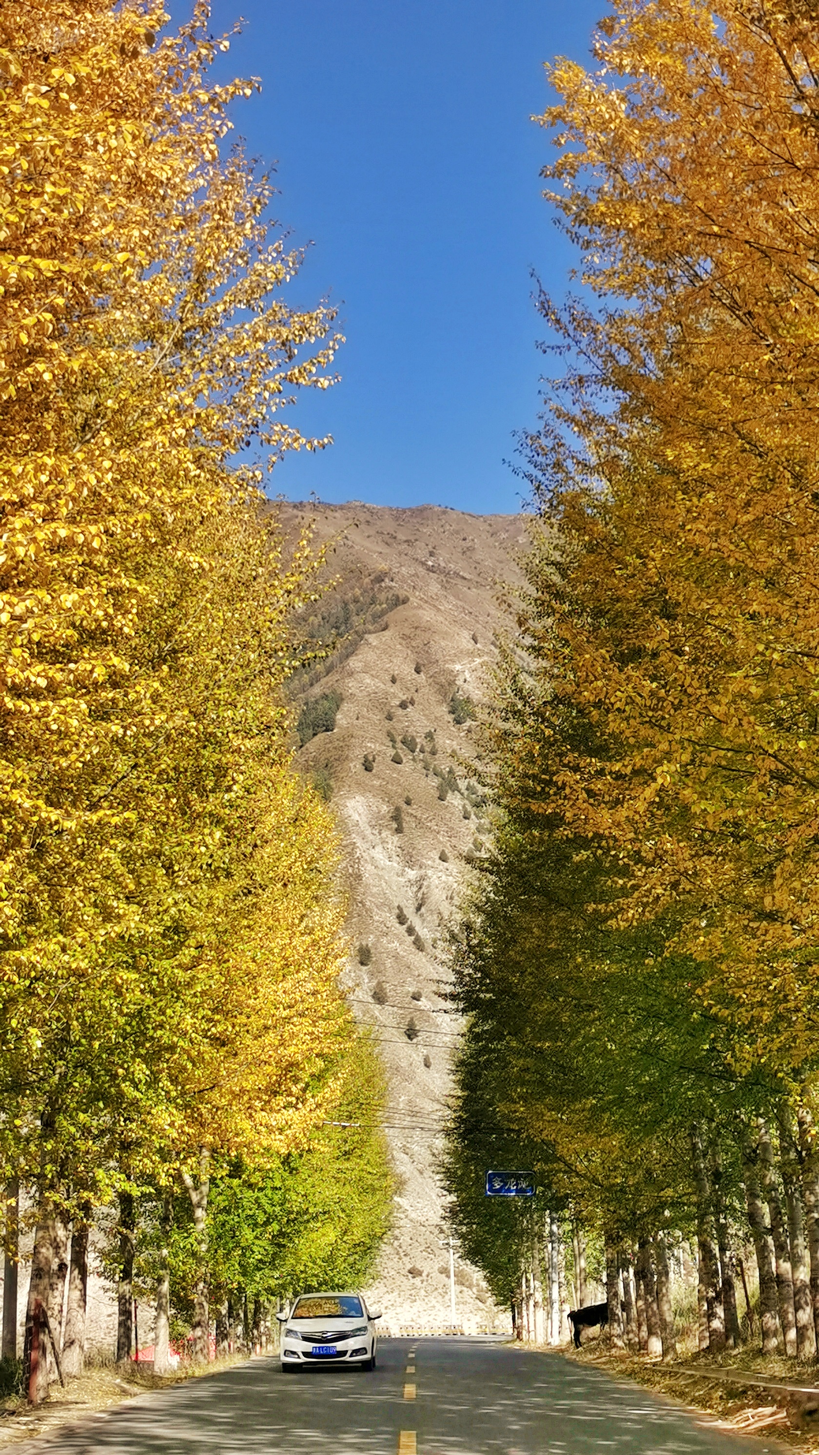 IMG_20201009_150932-01.jpeg