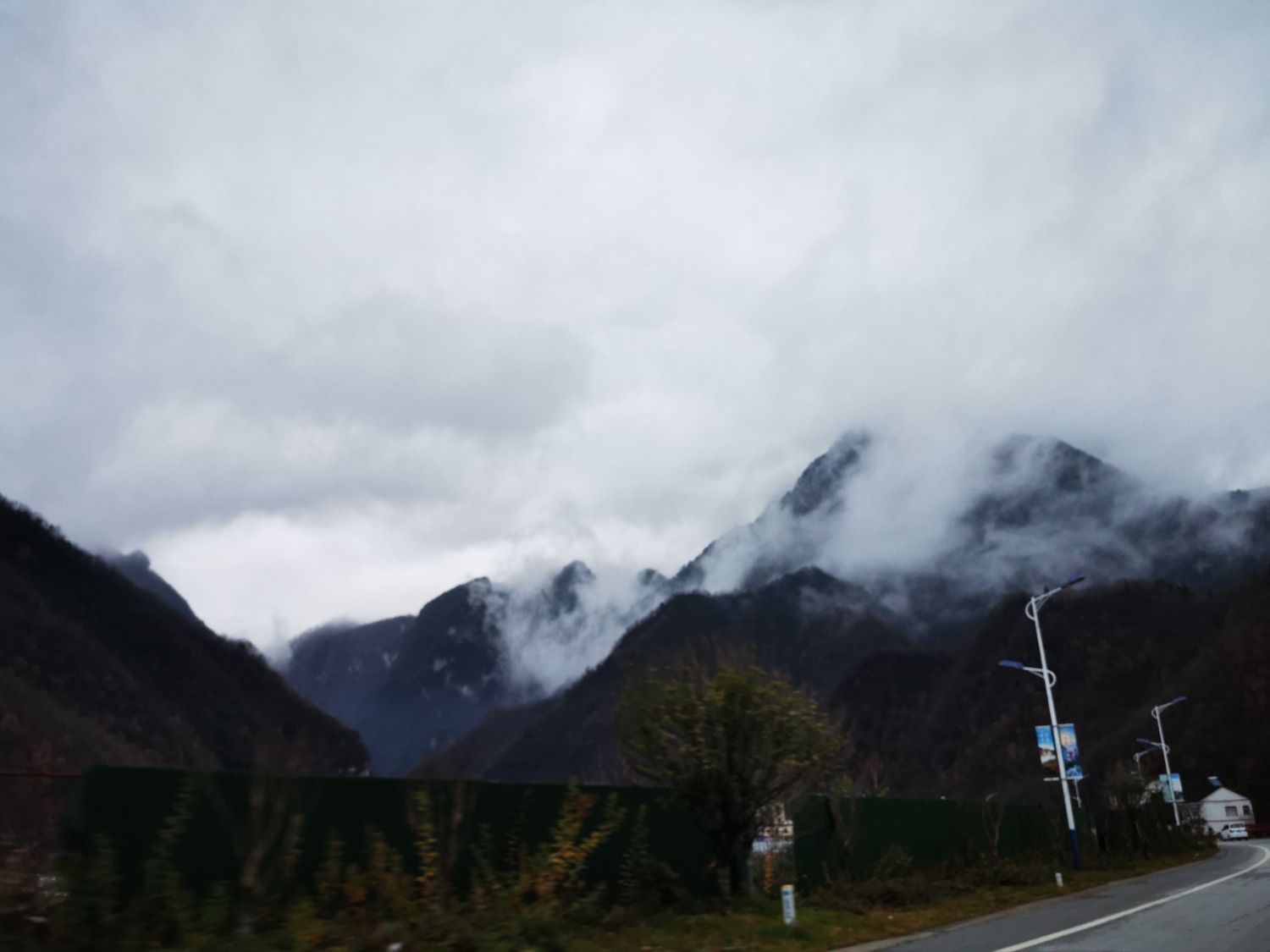 IMG_20201118_171938.jpg