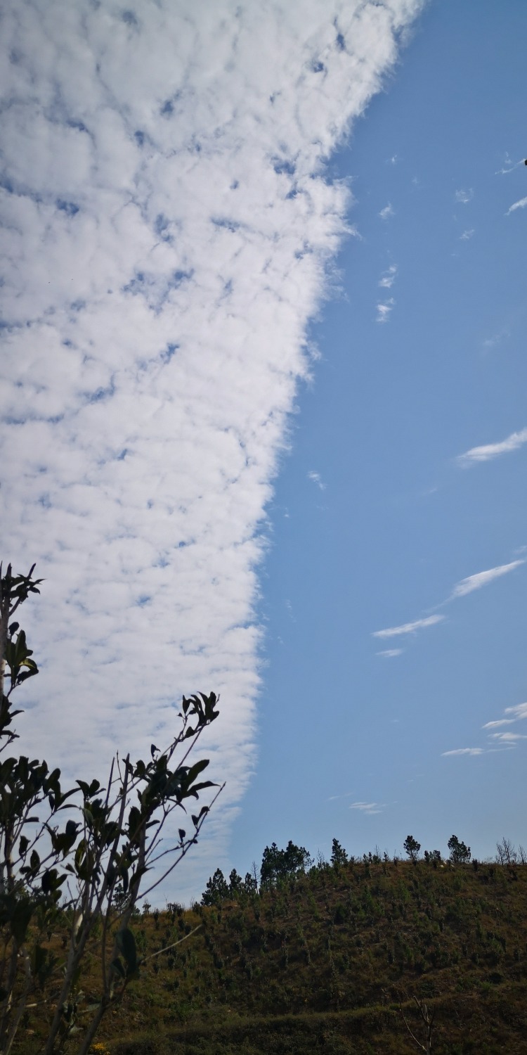 IMG_20201106_105150.jpg