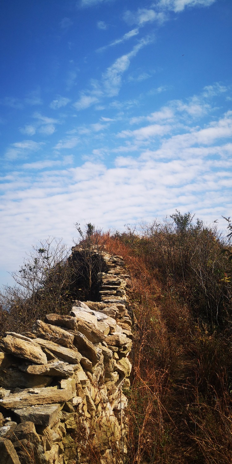 IMG_20201106_133313.jpg