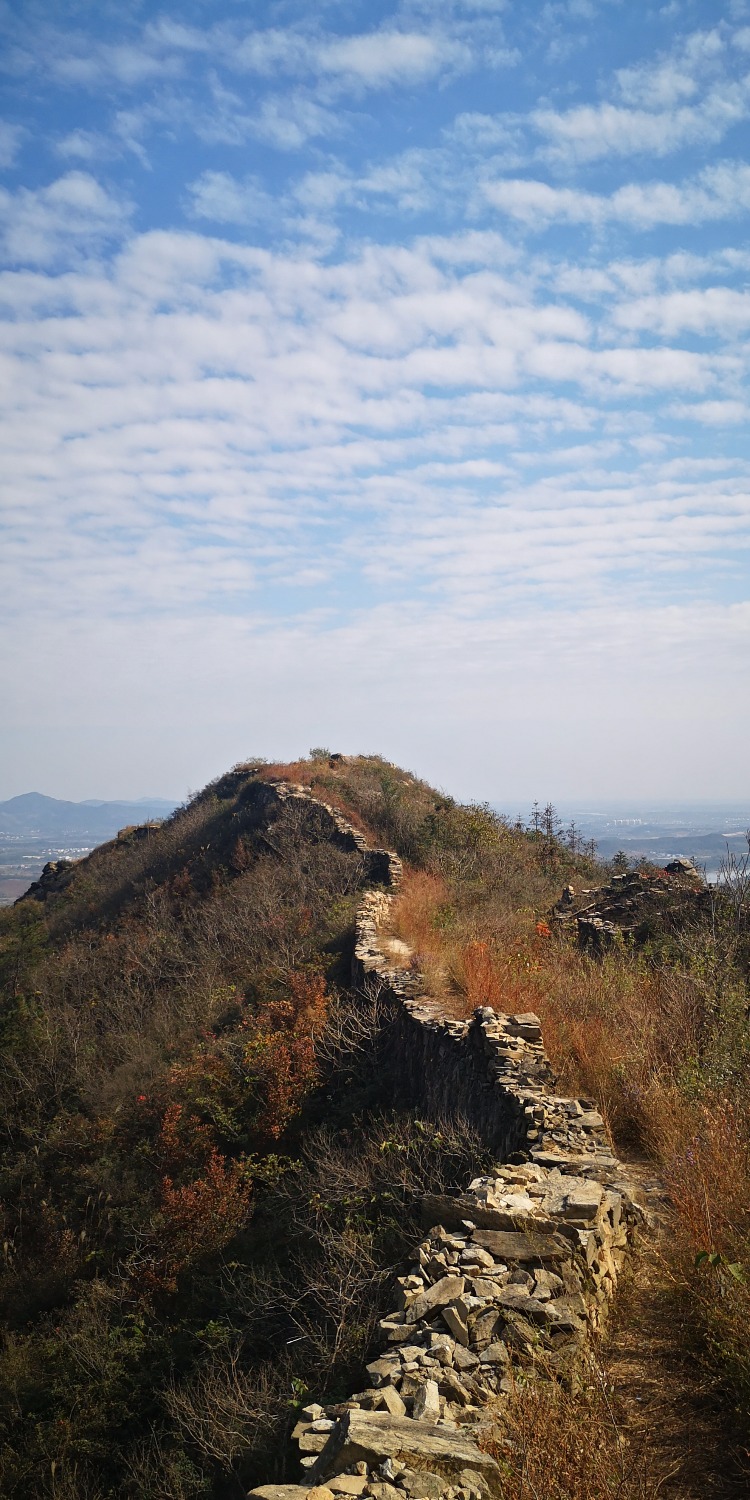IMG_20201106_133119.jpg