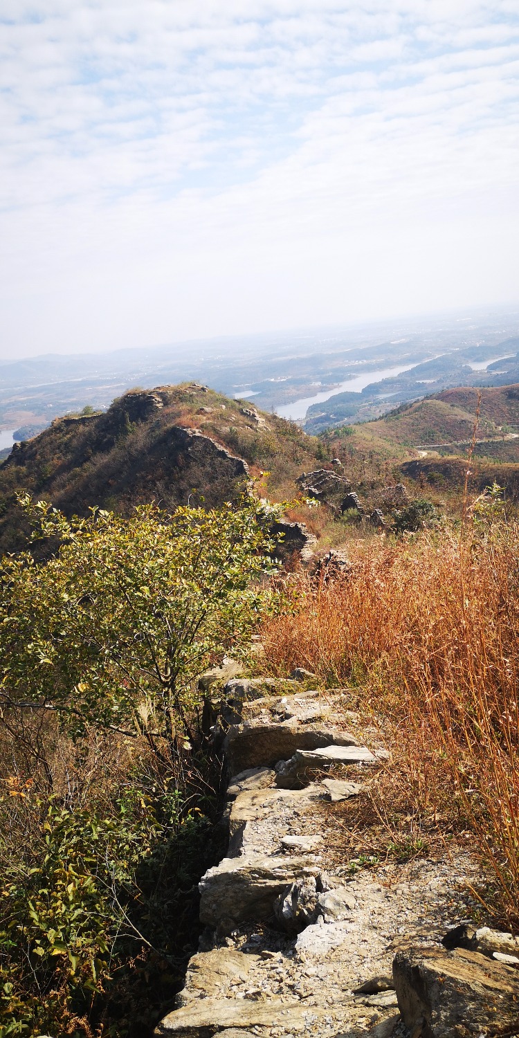 IMG_20201106_132738.jpg