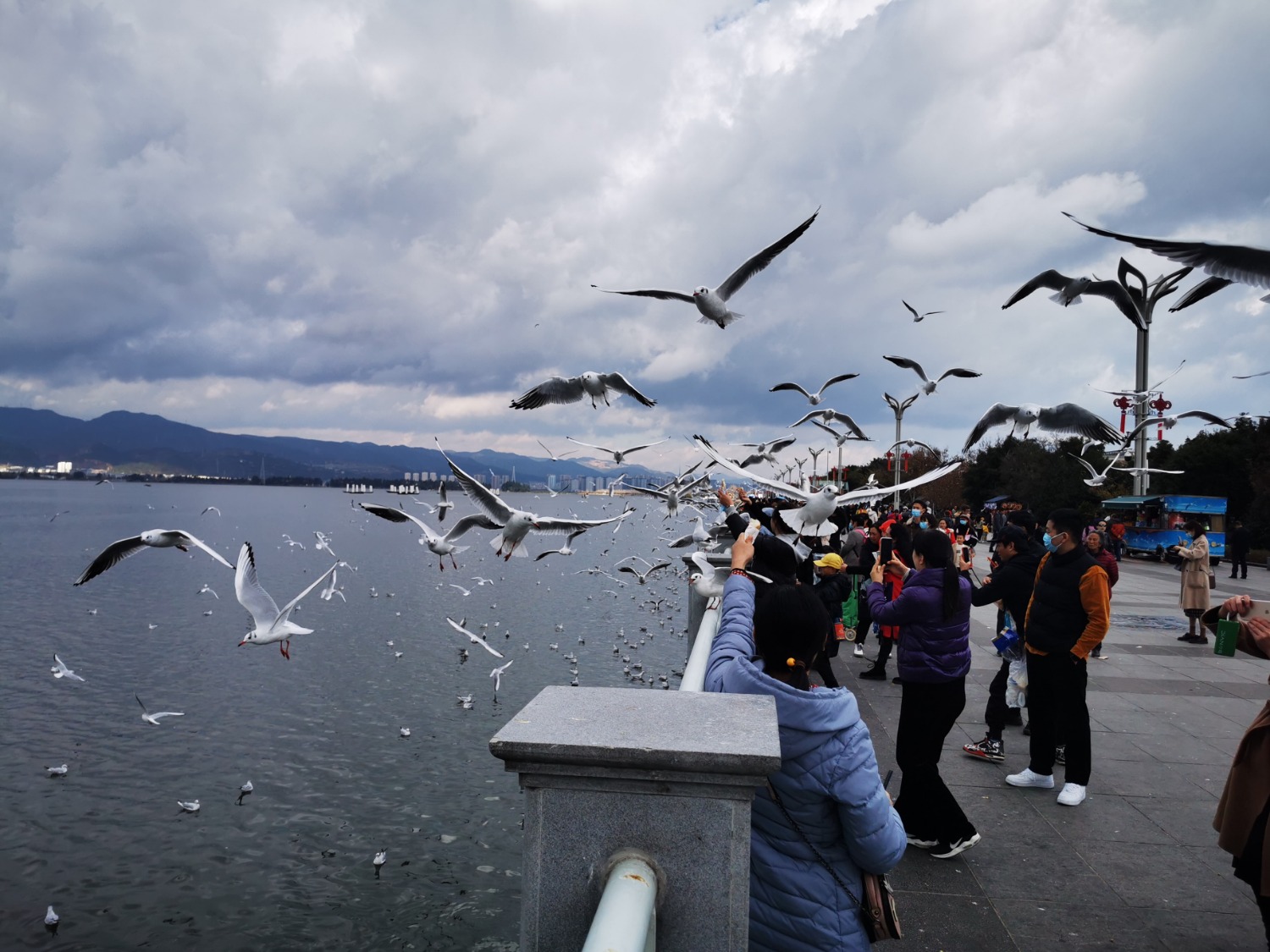 IMG_20201205_111407.jpg