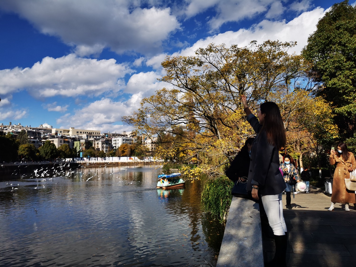 IMG_20201205_152936.jpg