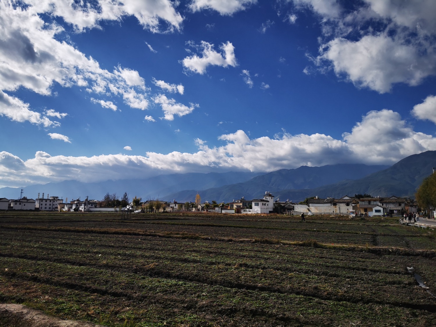 IMG_20201207_114716.jpg