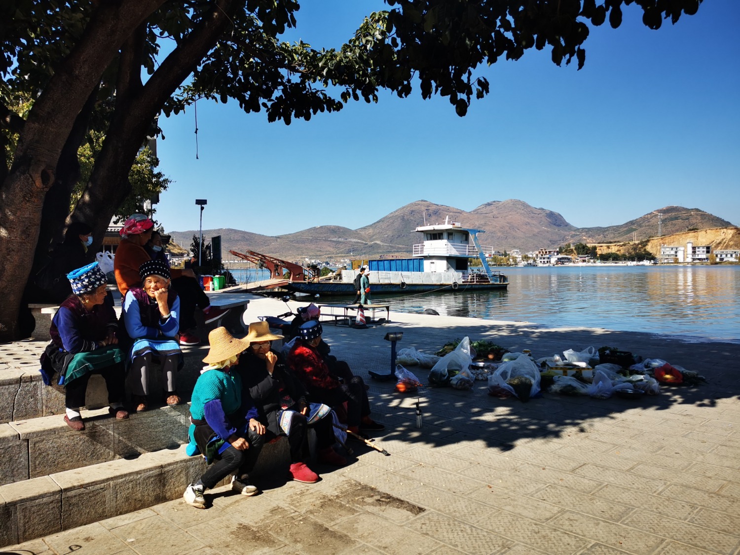 IMG_20201208_140808.jpg