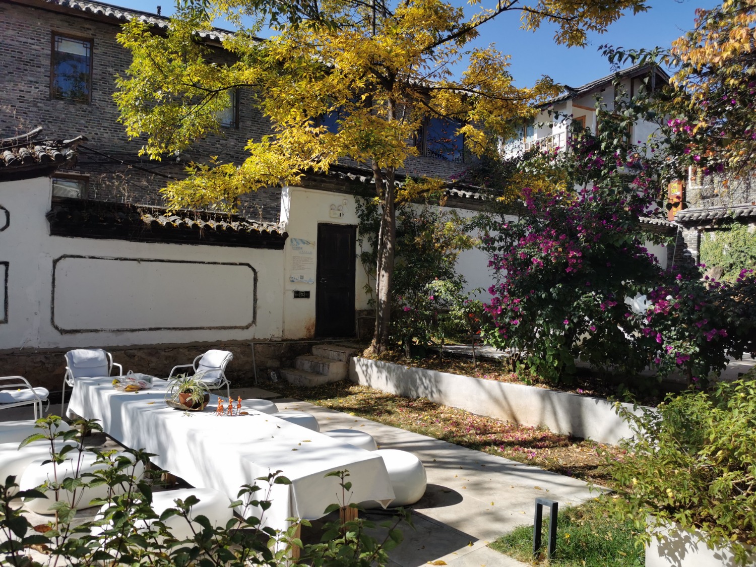 IMG_20201210_133729.jpg