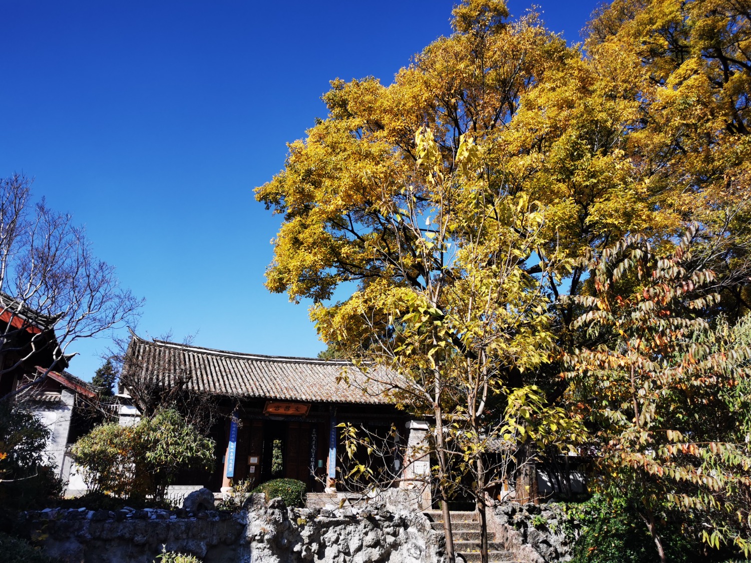 IMG_20201210_143540.jpg