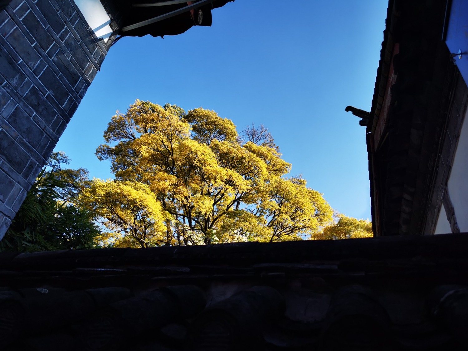 IMG_20201210_162148.jpg