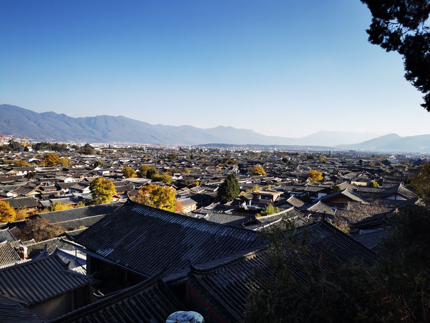 IMG_20201210_162420.jpg