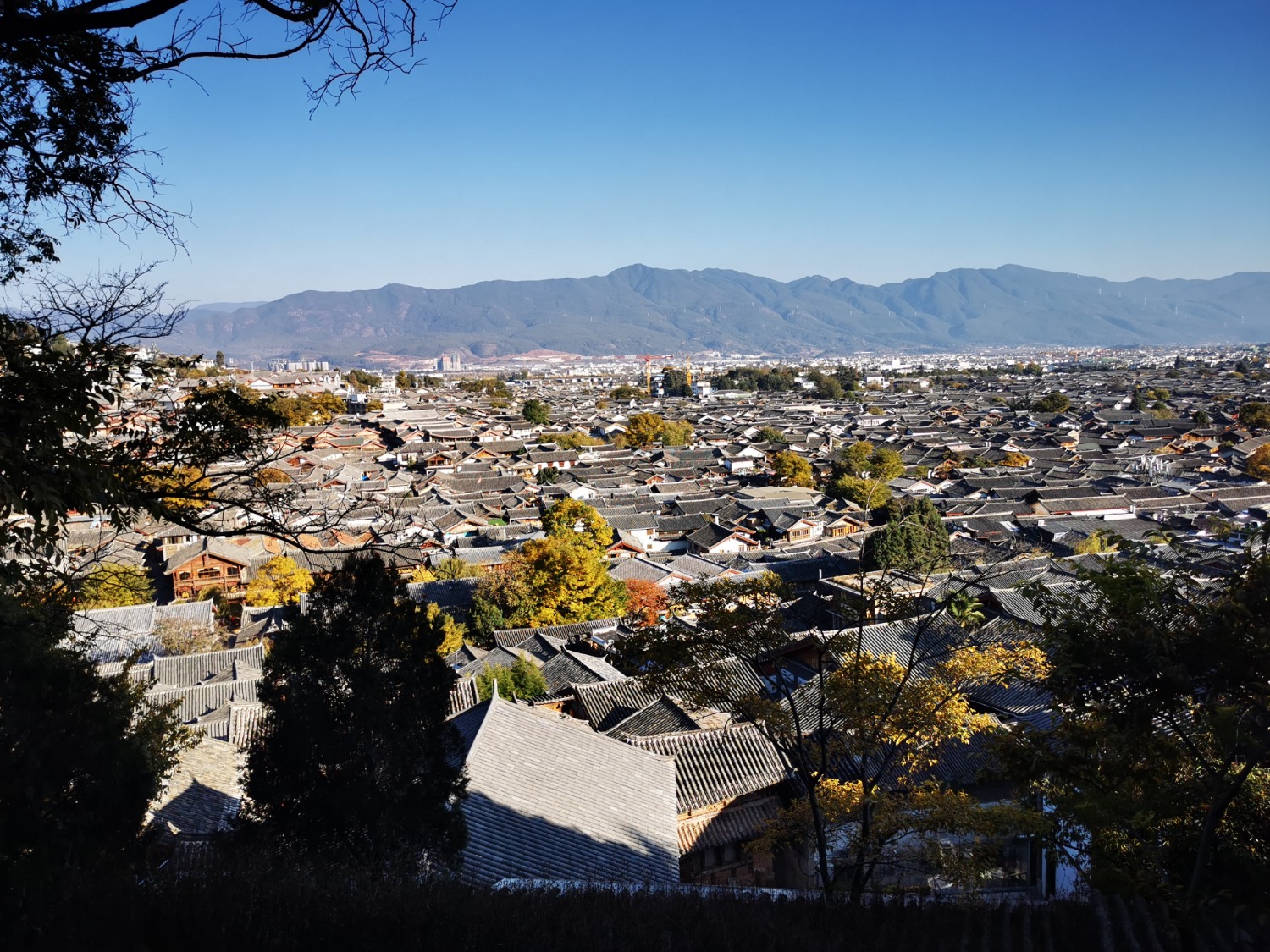 IMG_20201210_162721.jpg
