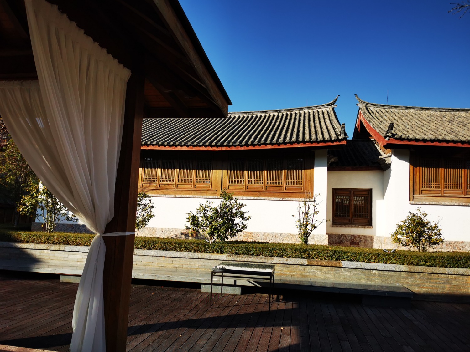 IMG_20201210_162922.jpg