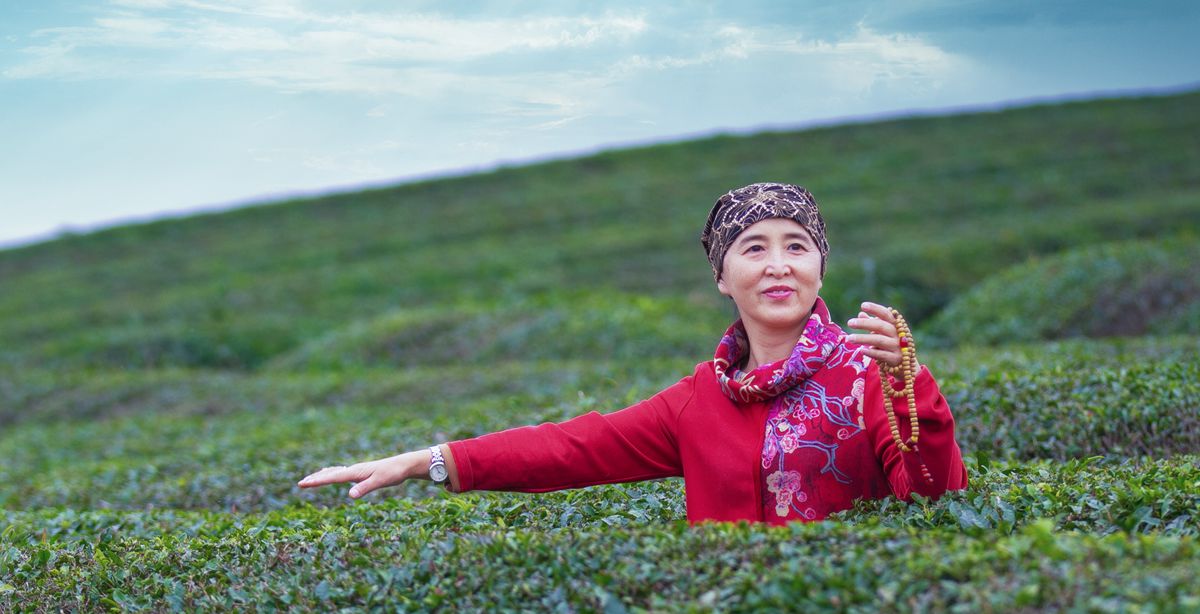 松桃苗王寨茶园