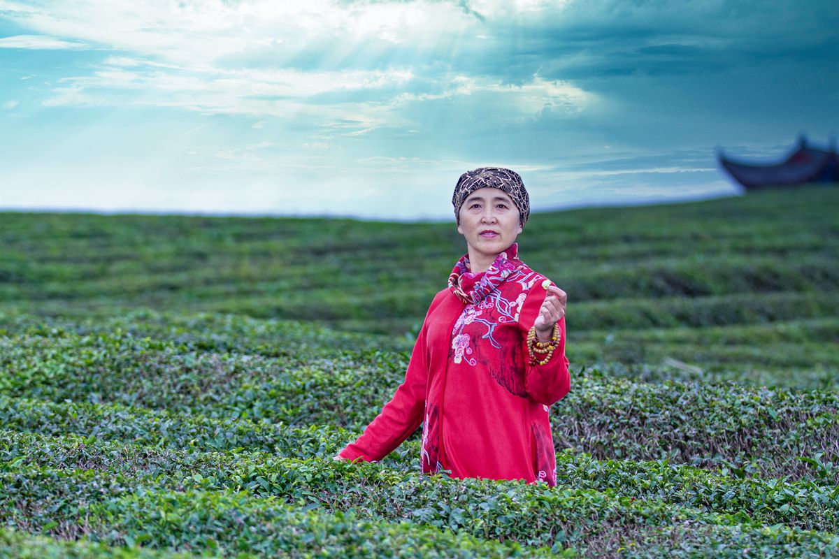 松桃苗王寨茶园