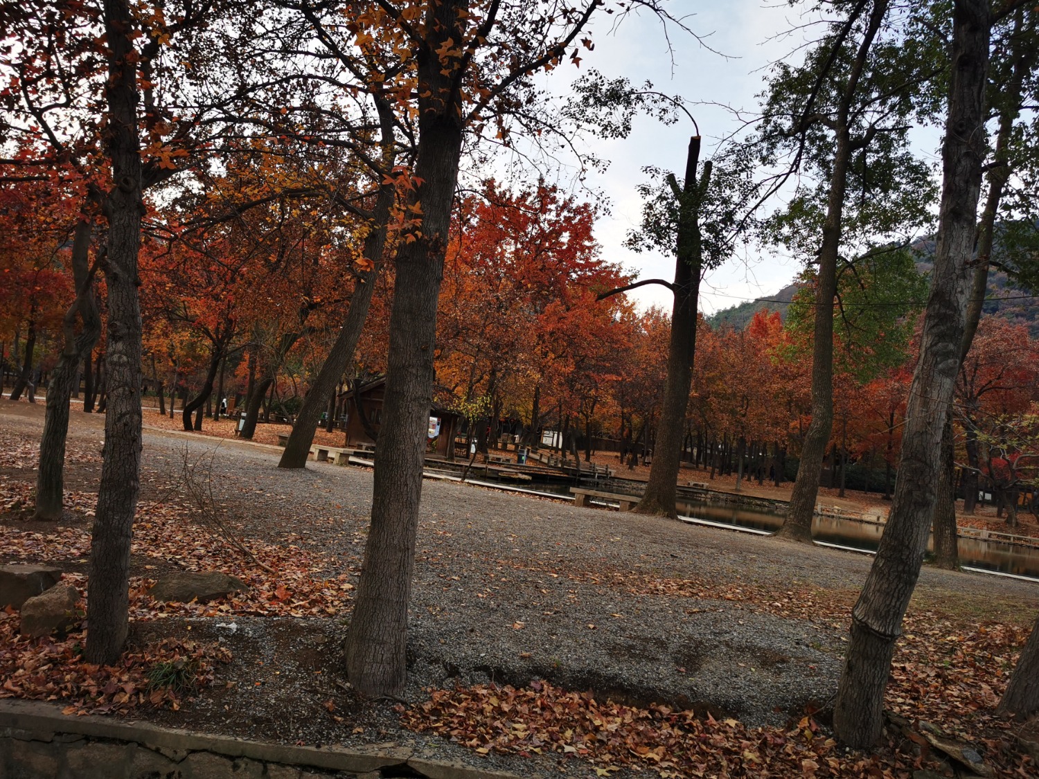 IMG_20201214_154719.jpg
