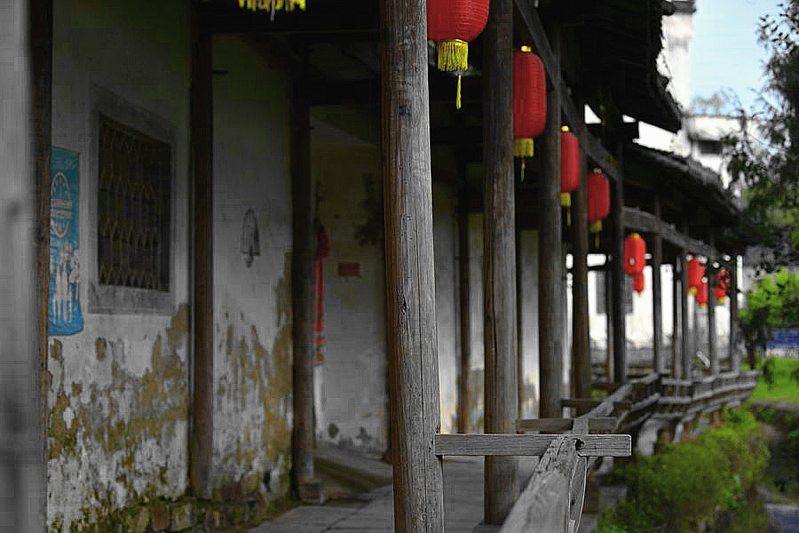 _DSC8203_副本_副本.jpg