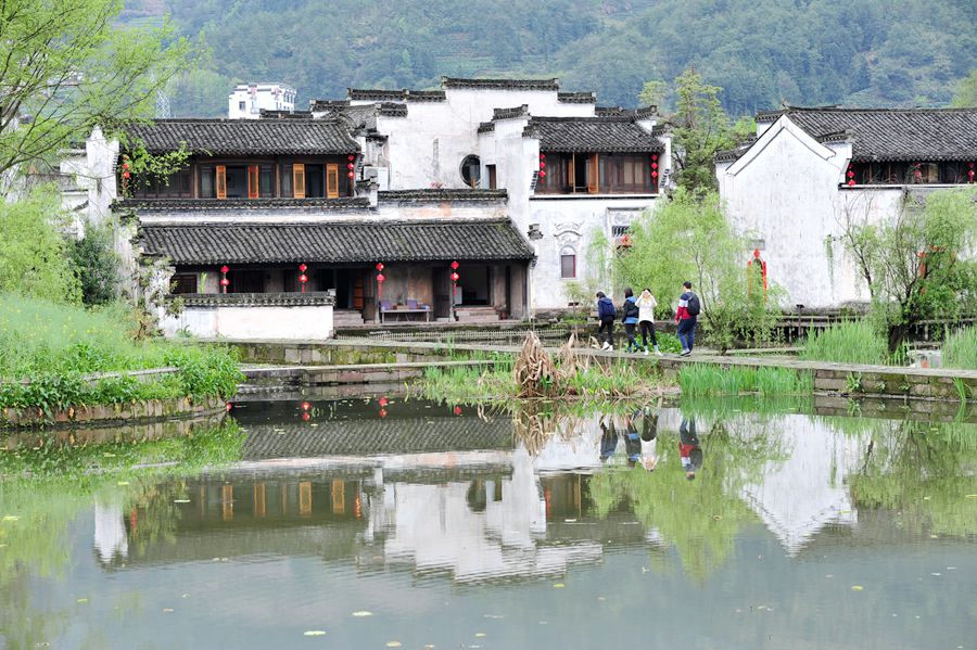 DSC_5474_副本_副本.jpg
