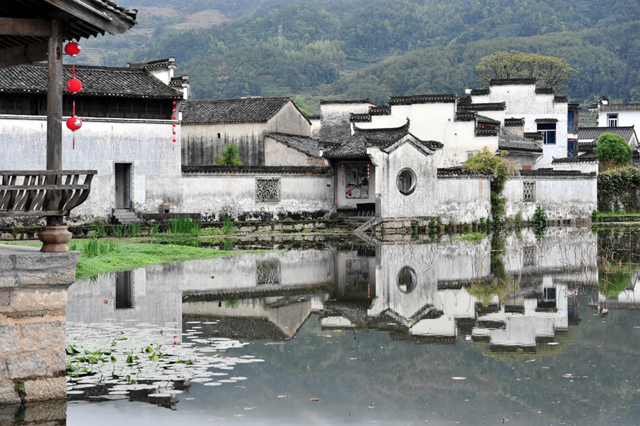 DSC_5486_副本_副本.jpg