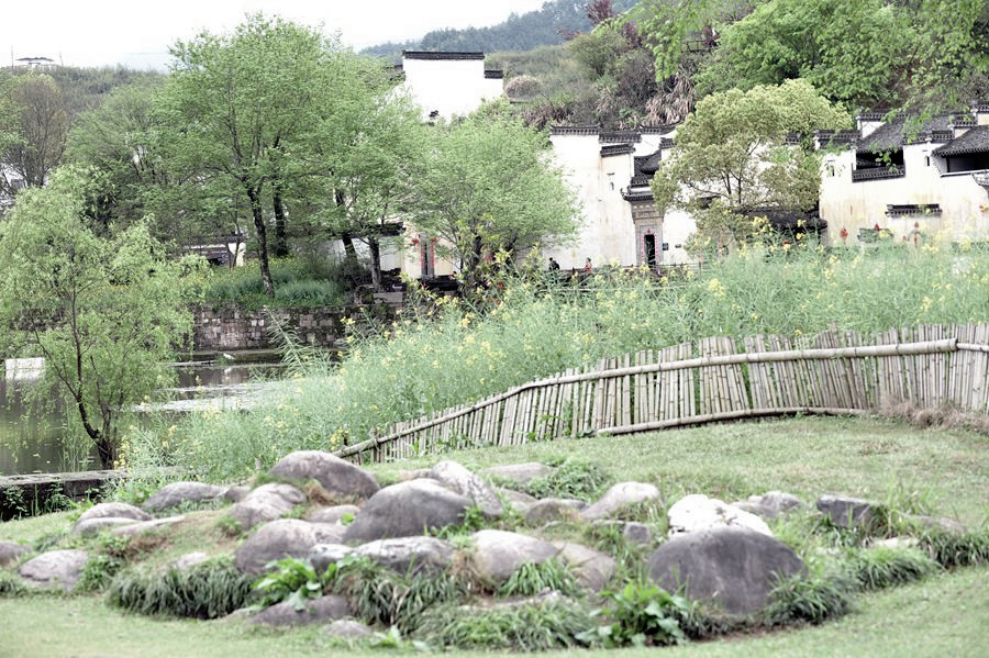 DSC_5491_副本_副本.jpg