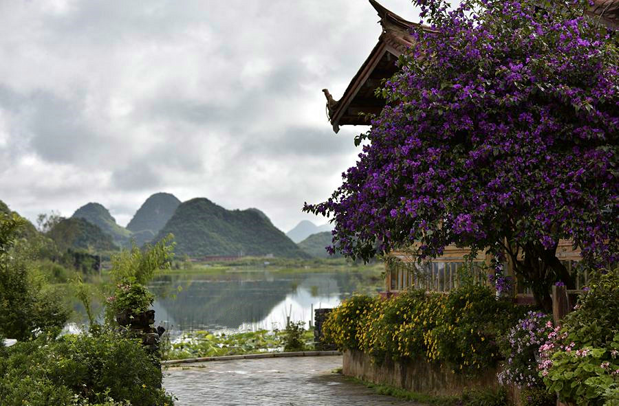 _DSC2239__.jpg
