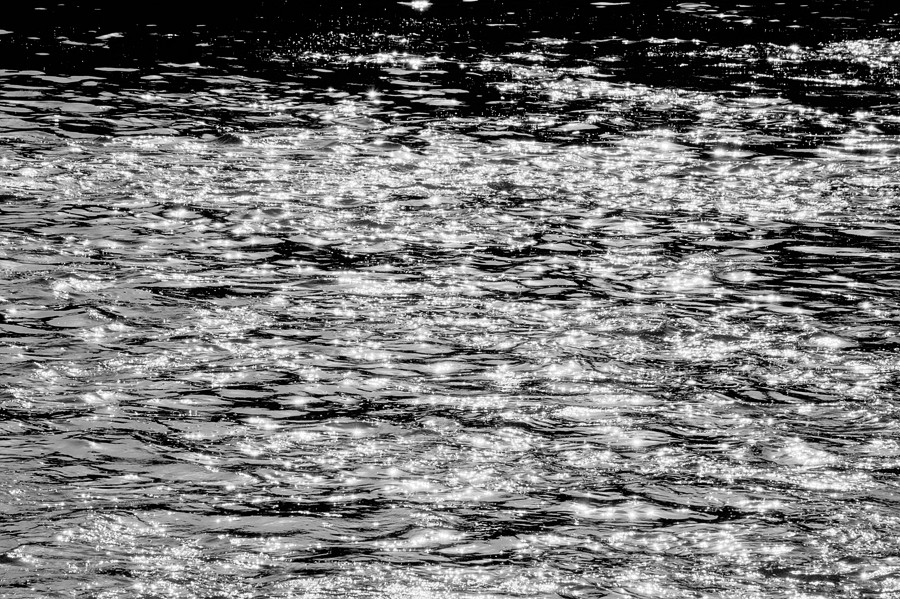 _DSC8260__.jpg