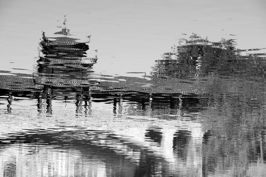 _DSC8295__.jpg