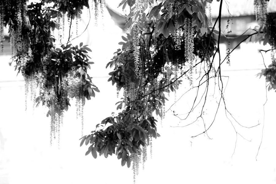 _DSC8346__.jpg