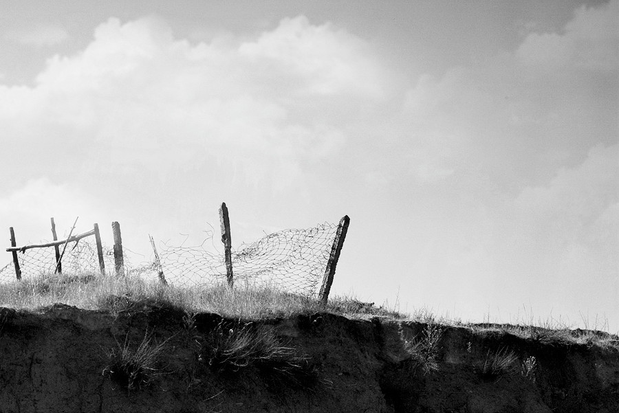 _DSC5220__.jpg