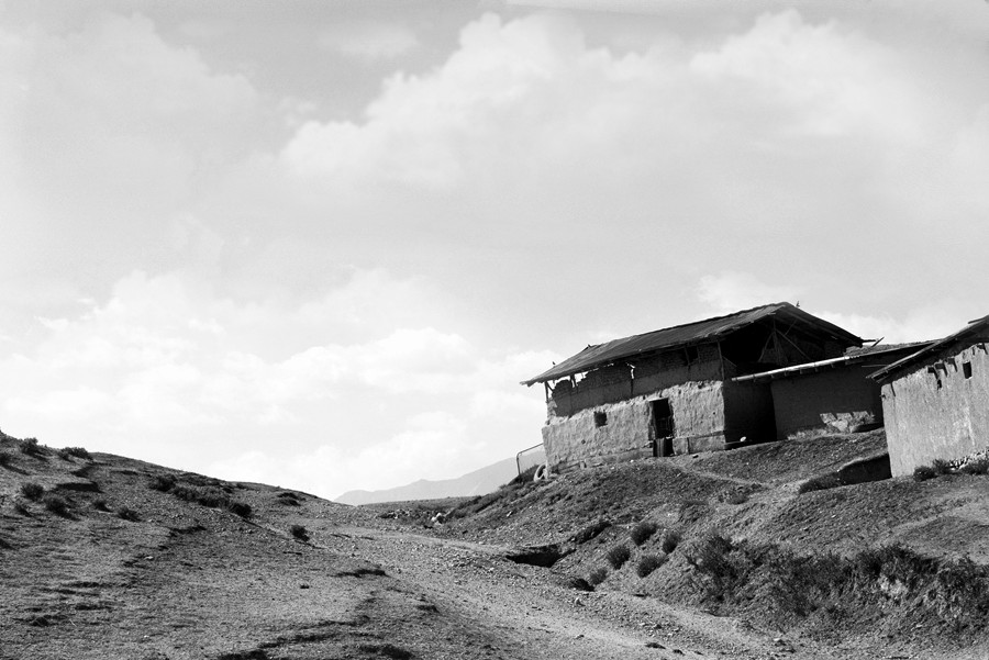 _DSC5221__.jpg