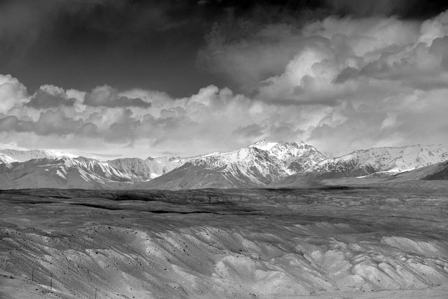 _DSC7395_副本_副本.jpg