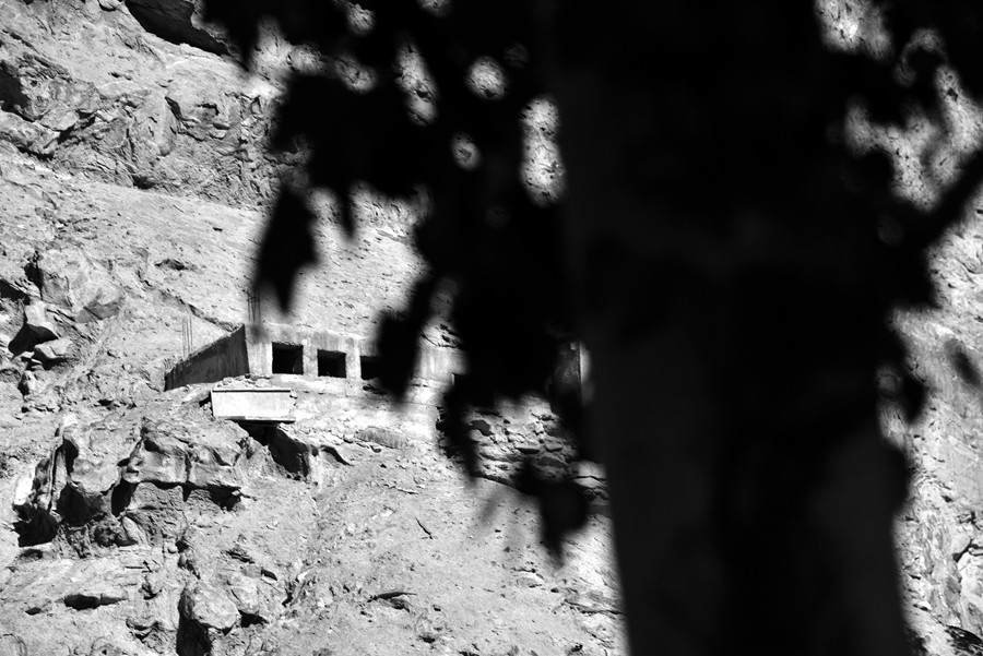 _DSC8458__.jpg