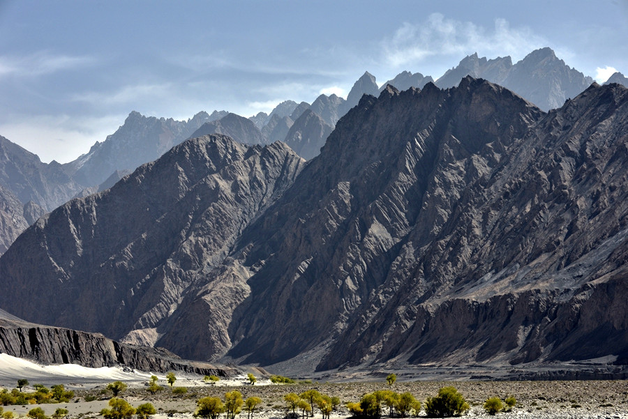 _DSC8623__.jpg