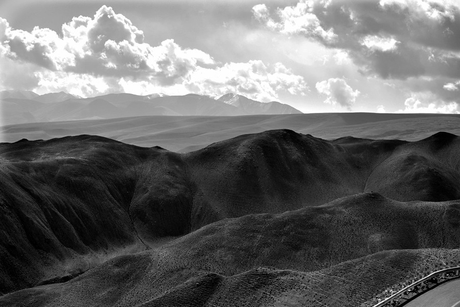 _DSC7710__.jpg