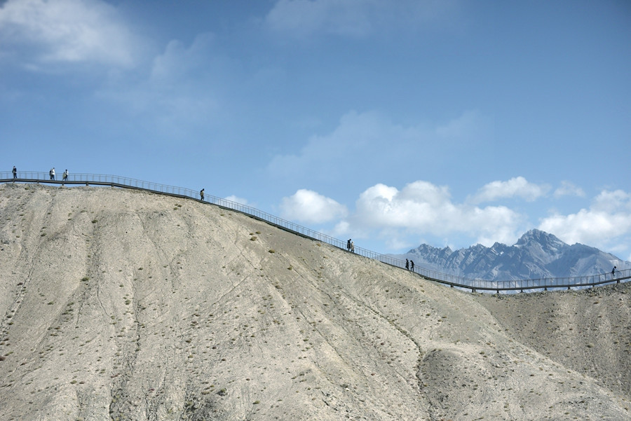 _DSC7723__.jpg