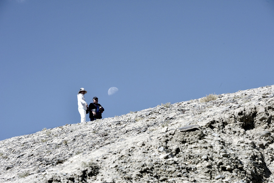 _DSC7863__.jpg