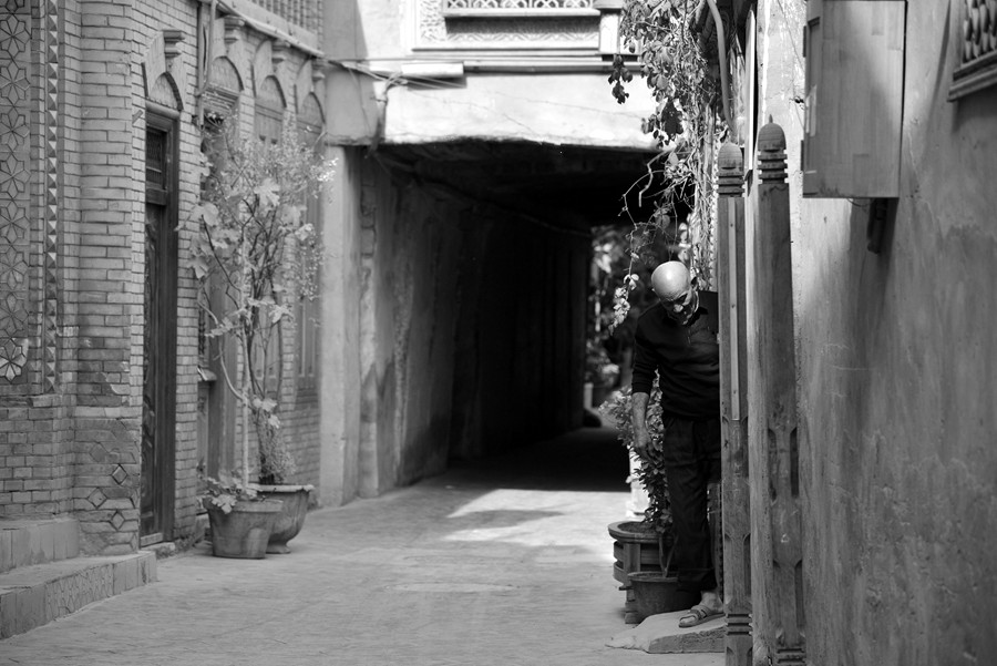 _DSC0365__.jpg