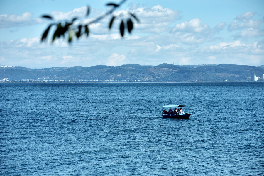 DSC_0039__.jpg