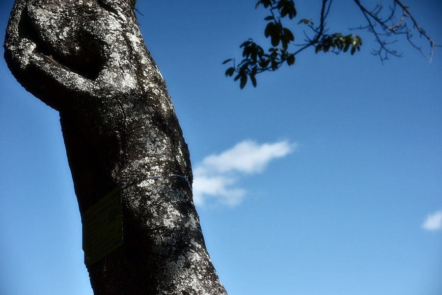 DSC_0054__.jpg