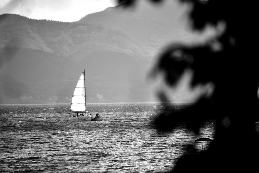 DSC_0085__.jpg