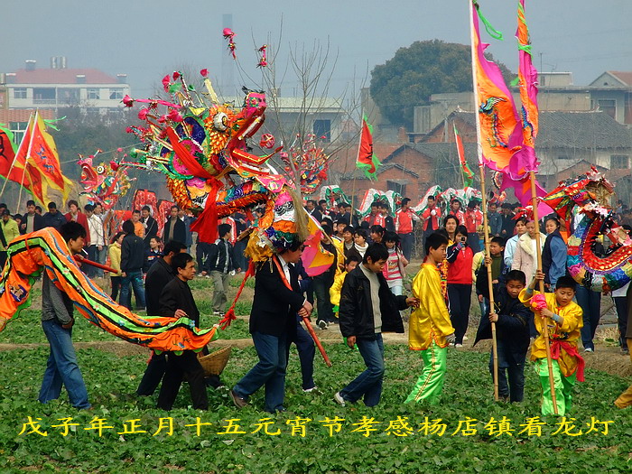 2008227231434.jpg