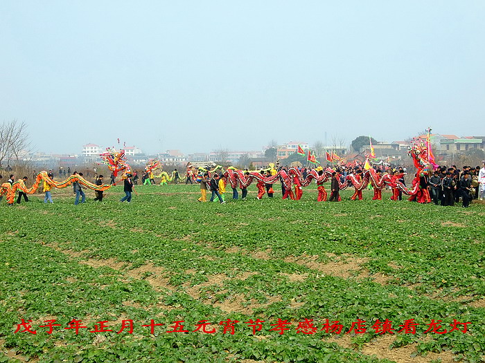 200839155850.jpg