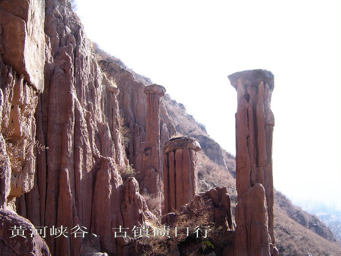 DSC00114.jpg