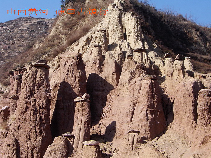 DSC00109.jpg