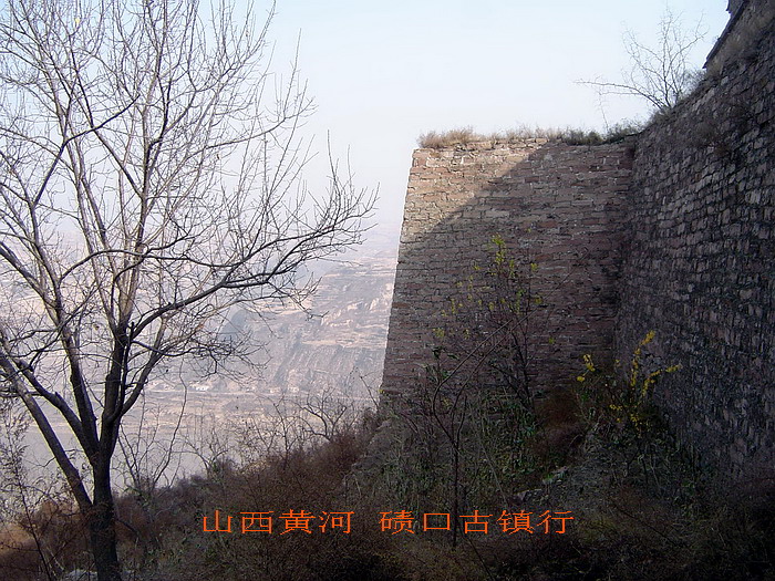 DSC00489.jpg