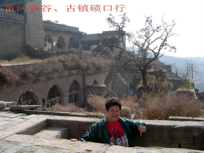 DSC00313.jpg
